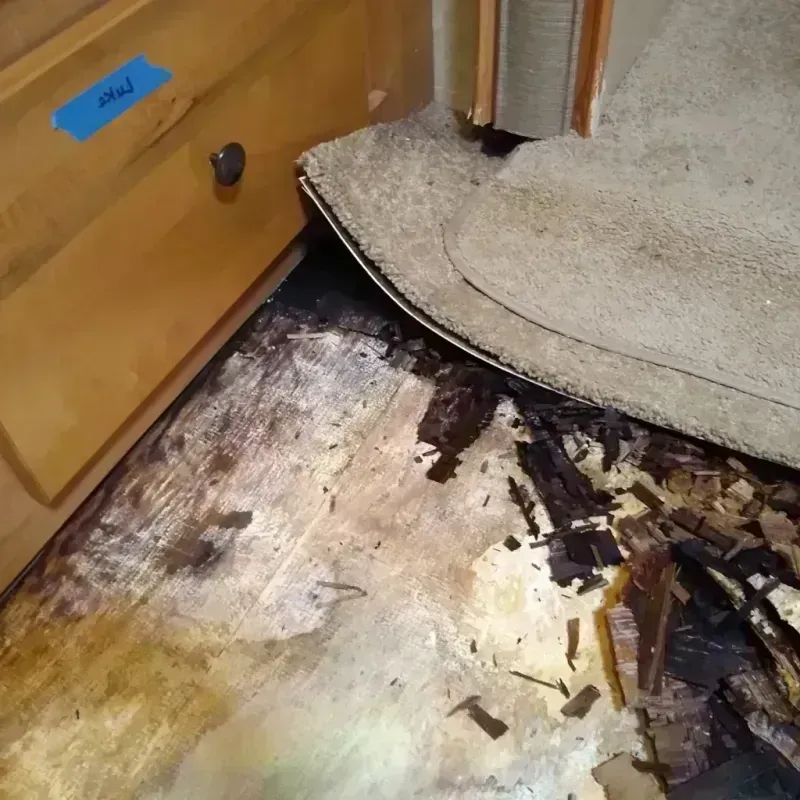 Wood Floor Water Damage in Neosho, MO